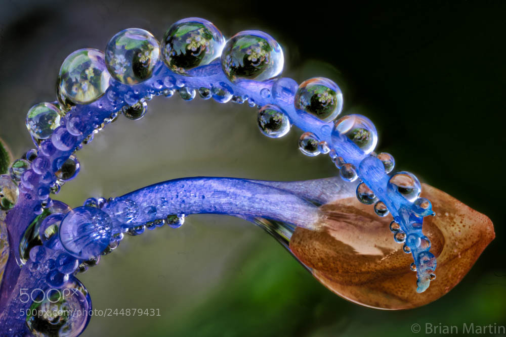 Sony a7R III sample photo. Zs pmax photography