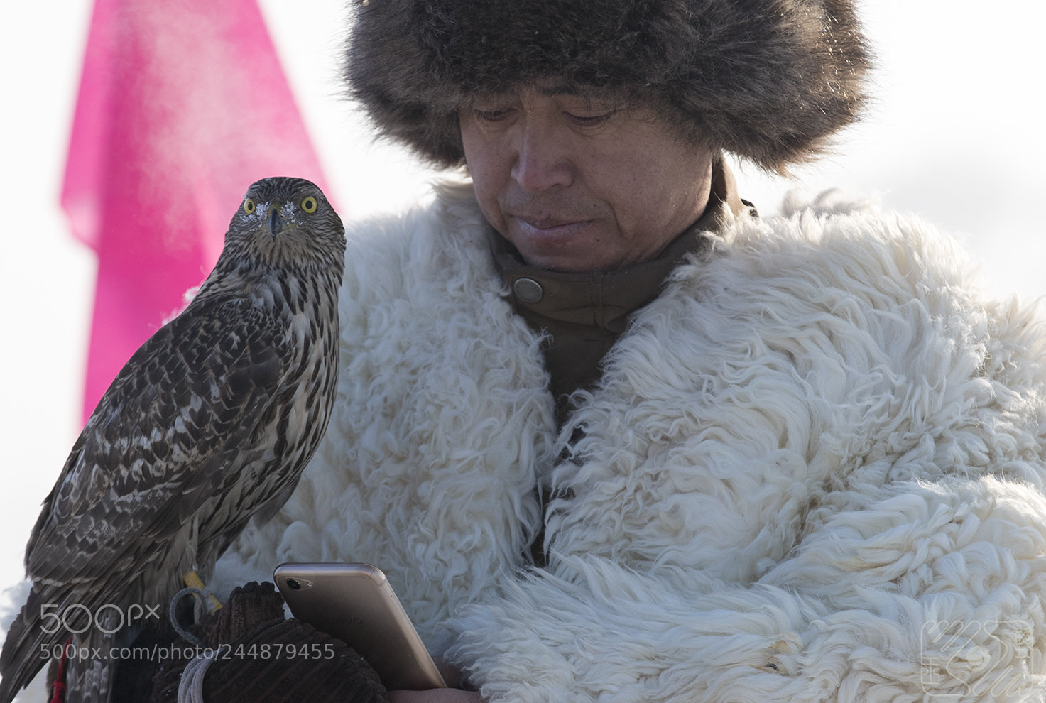 Canon EOS-1D X Mark II sample photo. The man's cell phone photography