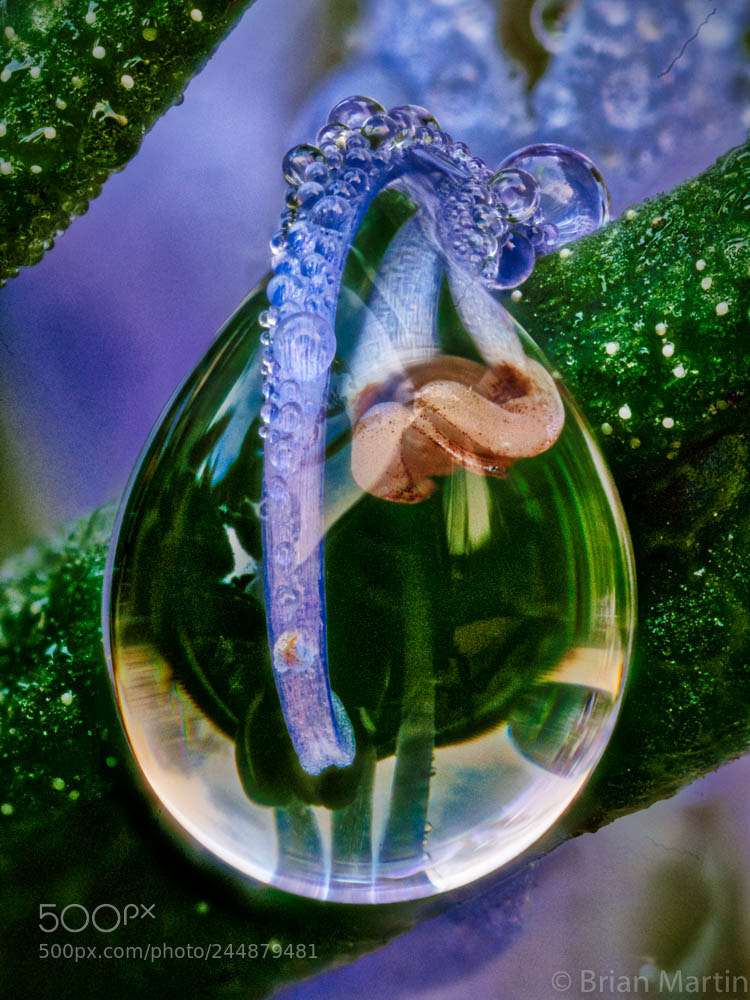Sony a7R III sample photo. Zs pmax edit photography