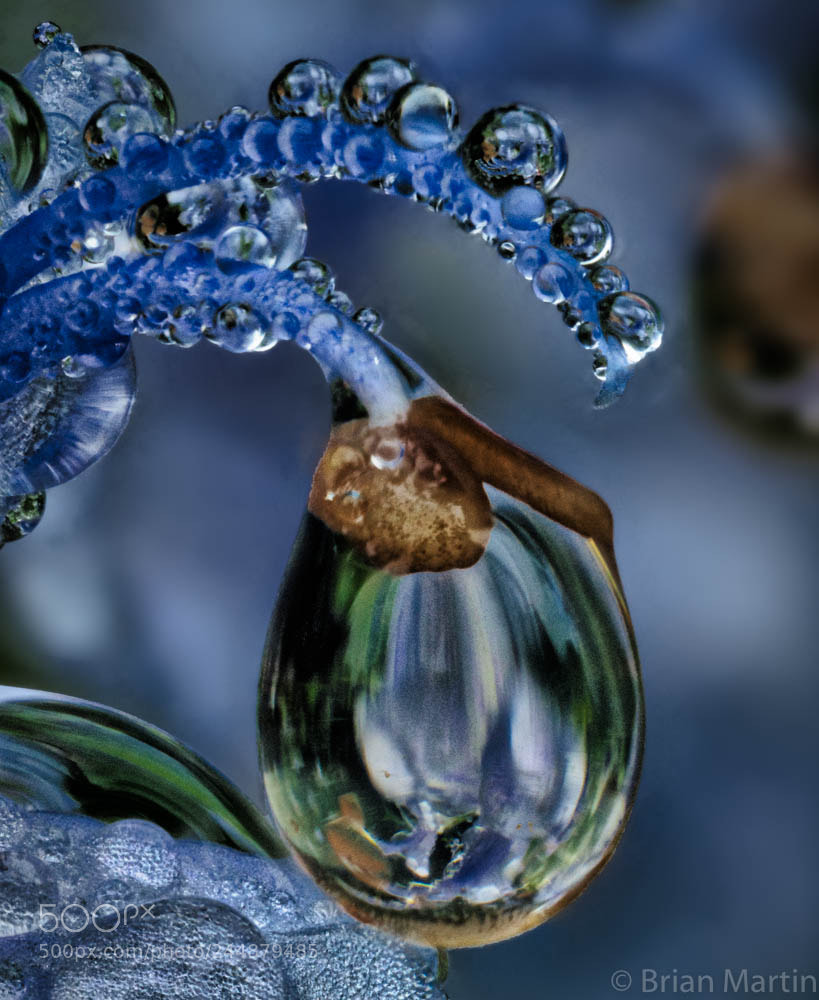 Sony a7R III sample photo. Zs pmax photography