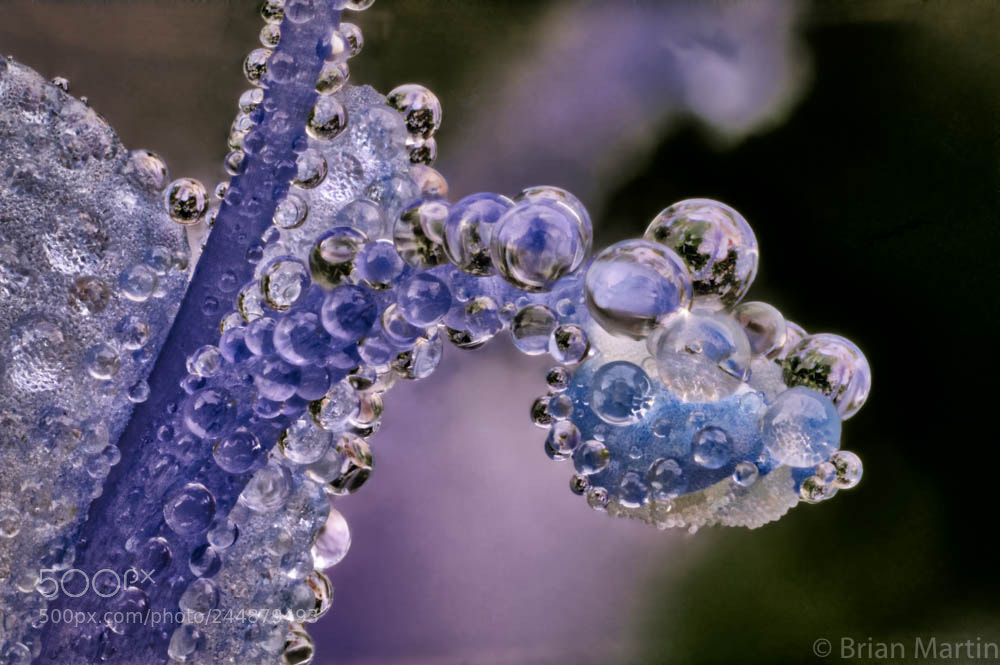 Sony a7R III sample photo. Zs pmax photography