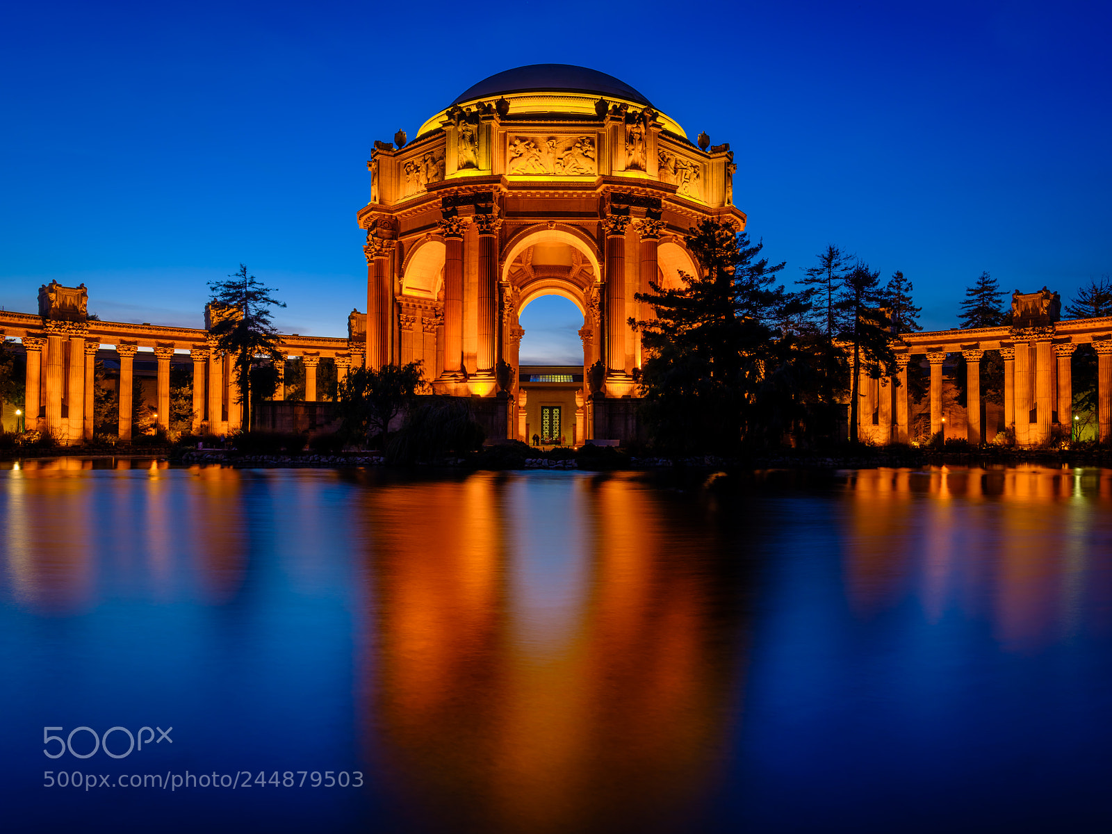 Fujifilm GFX 50S sample photo. The palace of fine photography