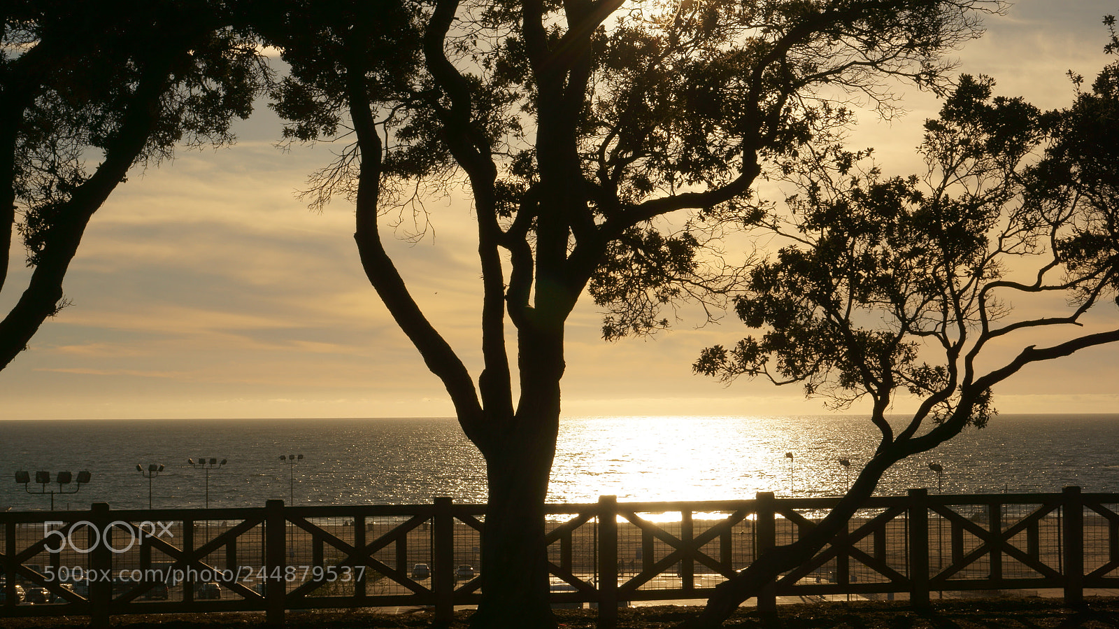 Sony Alpha NEX-5T sample photo. Dsc photography