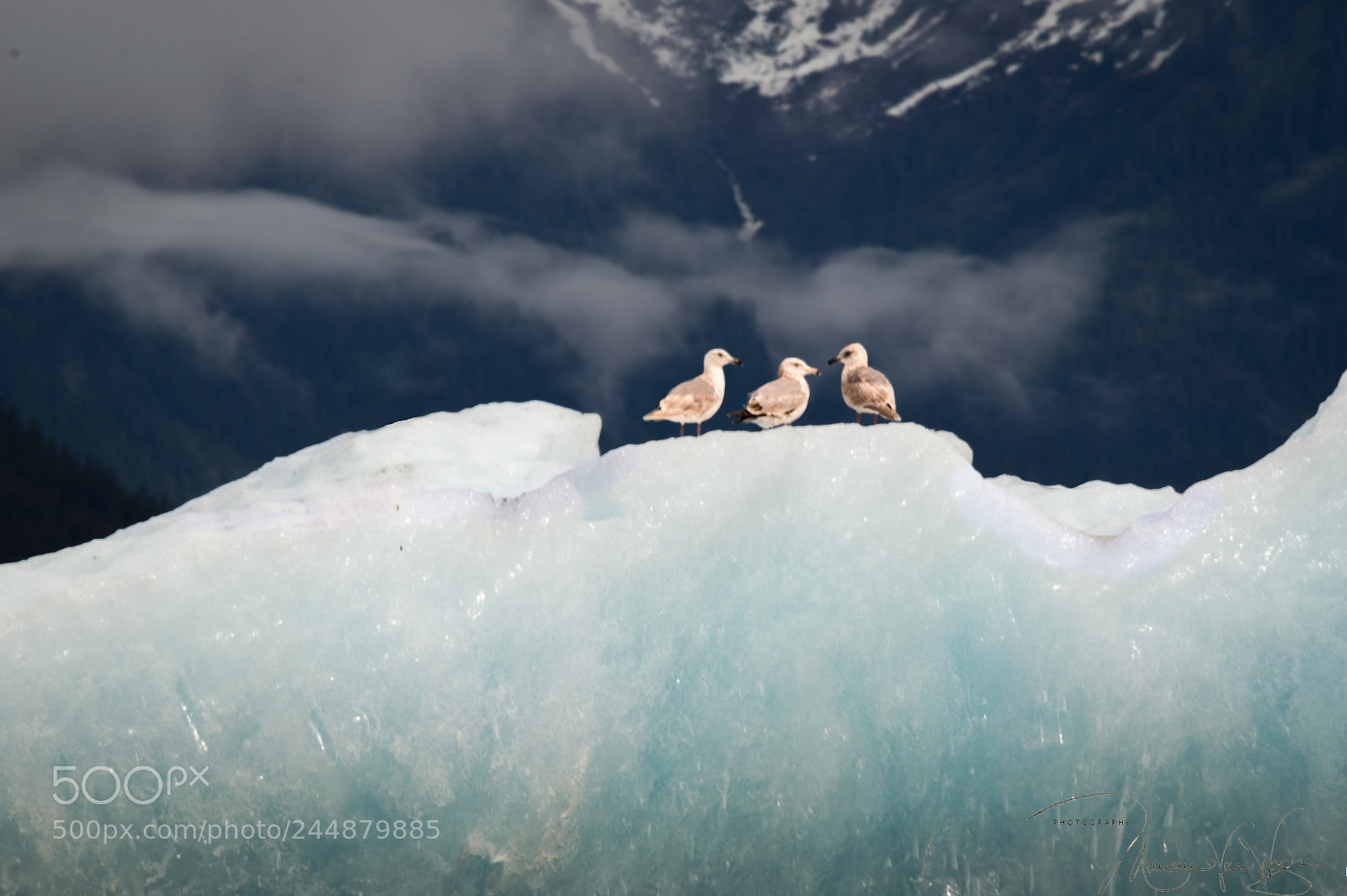 Nikon D3200 sample photo. Iceberg nature photography