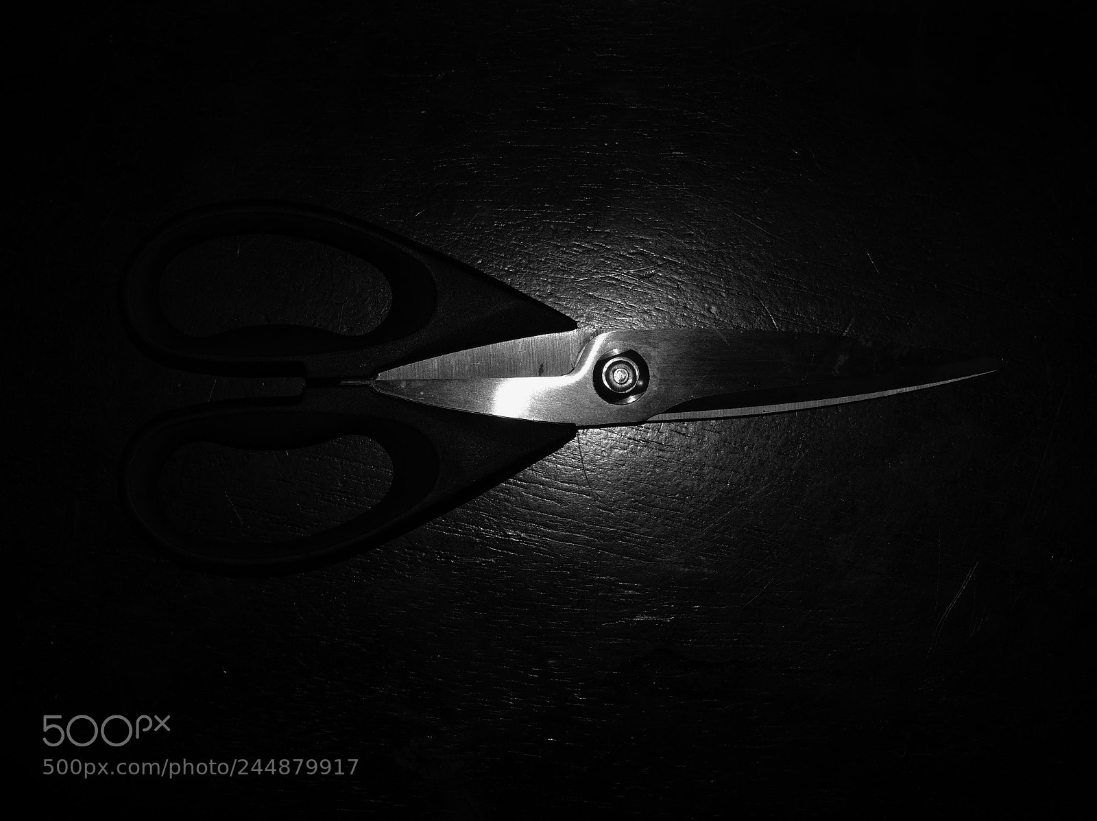 Olympus OM-D E-M10 II sample photo. Scissors photography