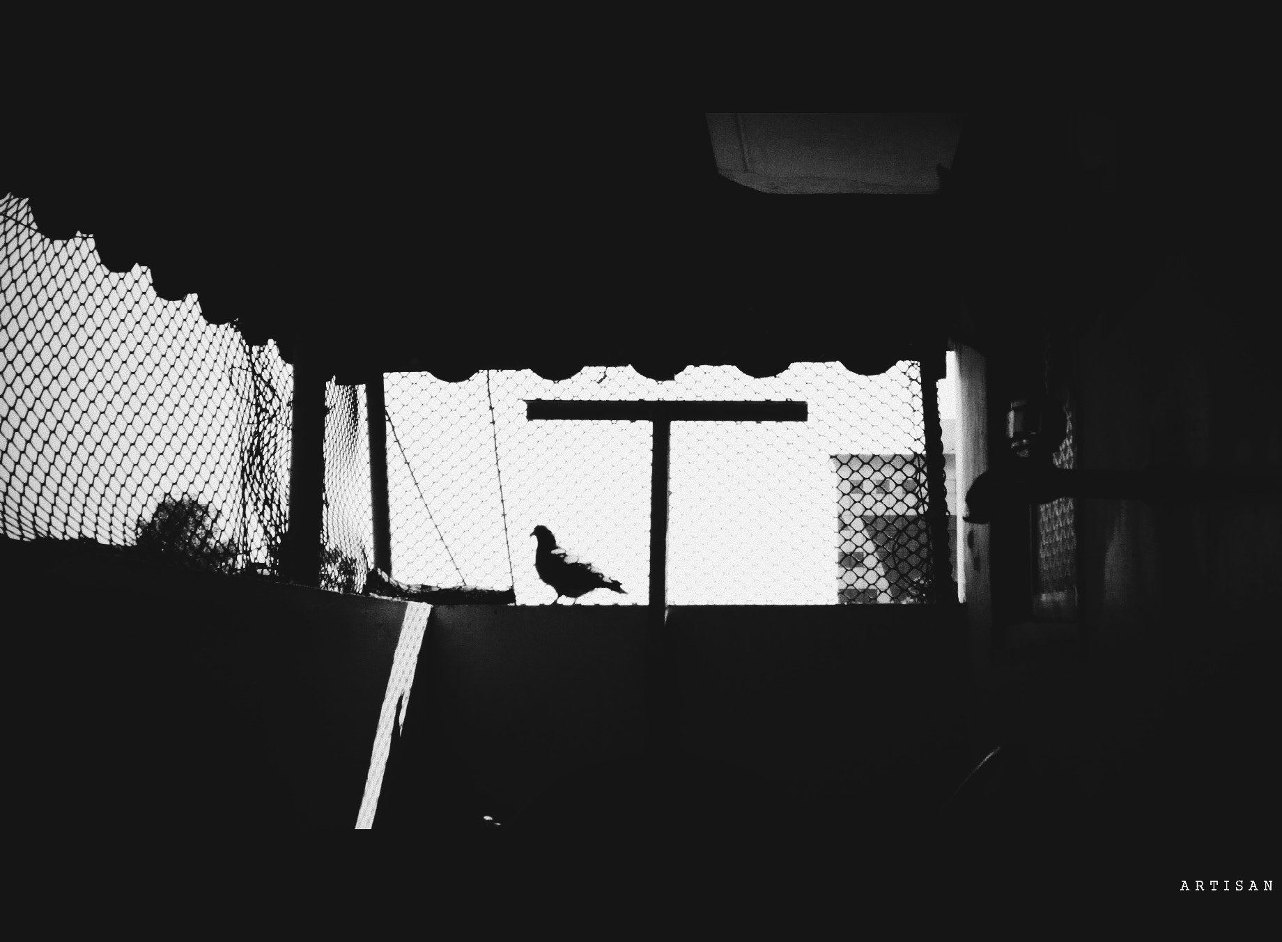 Micromax Canvas Spark sample photo. Everything set photography