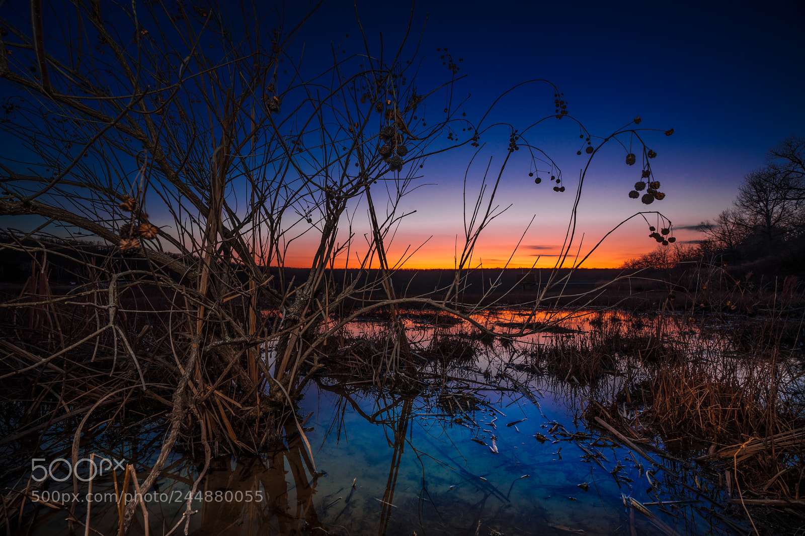 Sony a7R III sample photo. Bixhoma sunset photography
