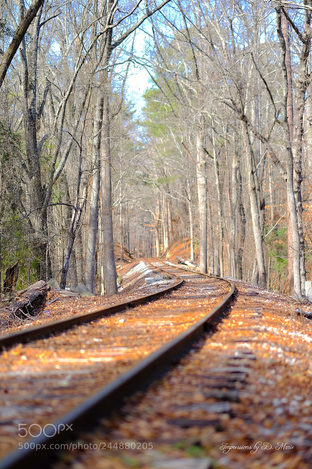 Fujifilm X-T10 sample photo. Railway photography