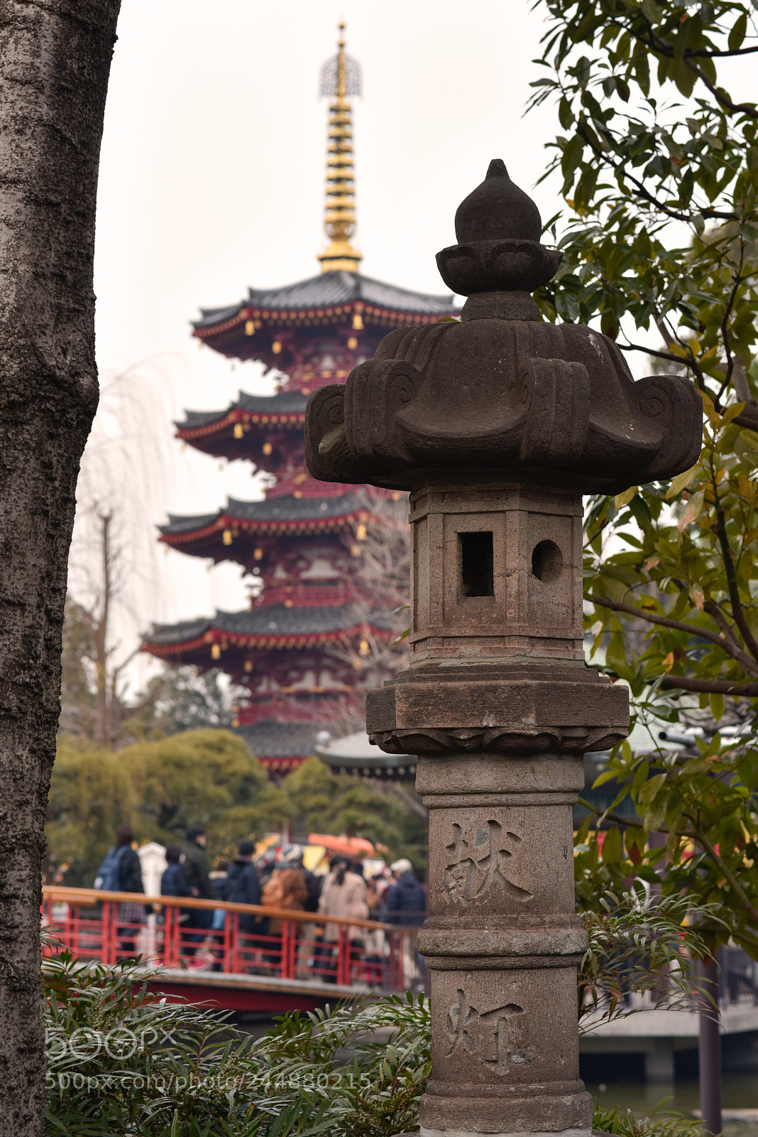 Nikon D810 sample photo. Festival walk photography
