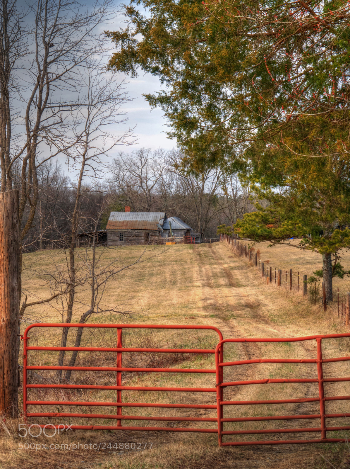 Panasonic Lumix DMC-G85 (Lumix DMC-G80) sample photo. Country road photography