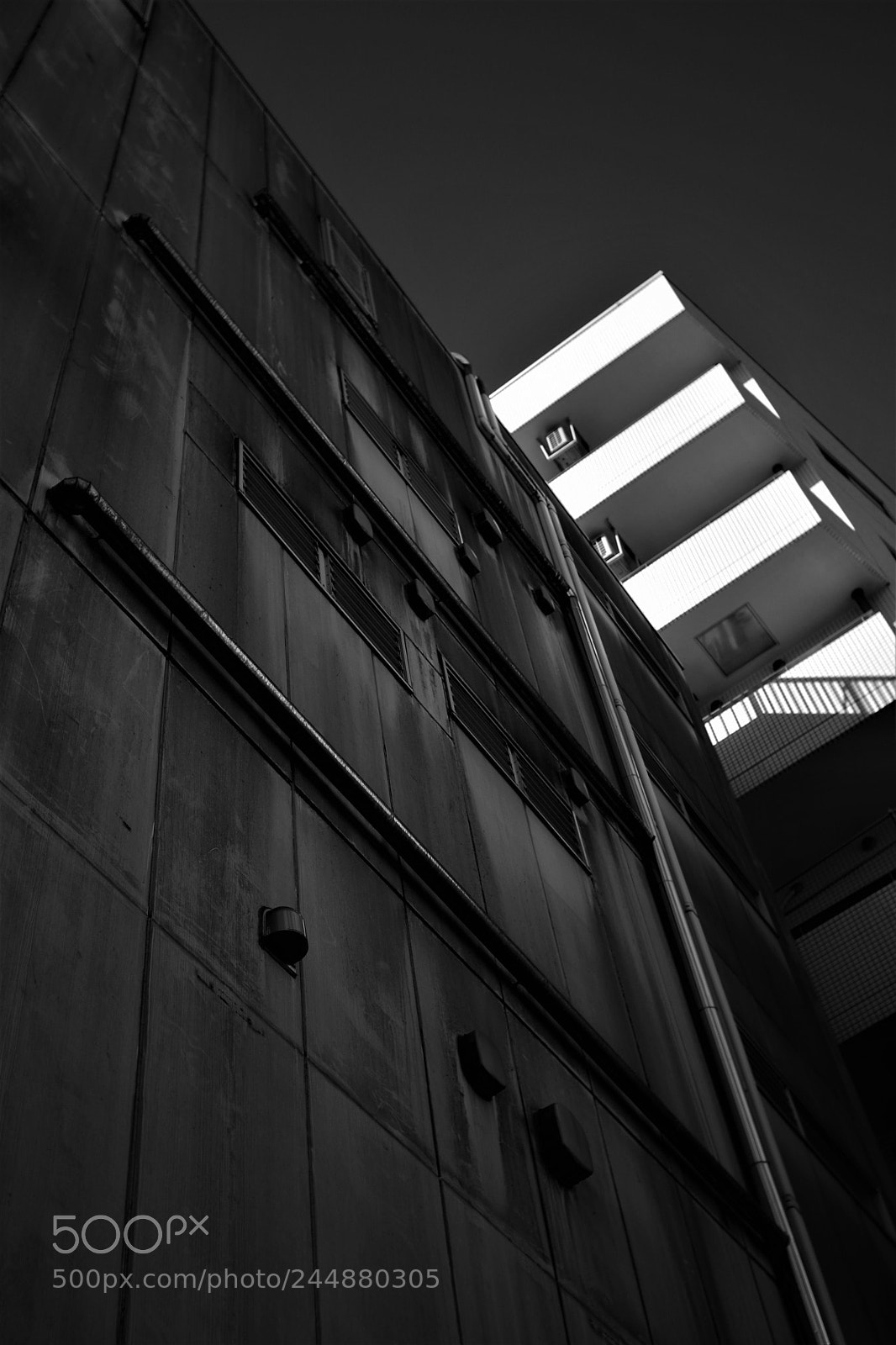 Nikon D500 sample photo. Wall photography