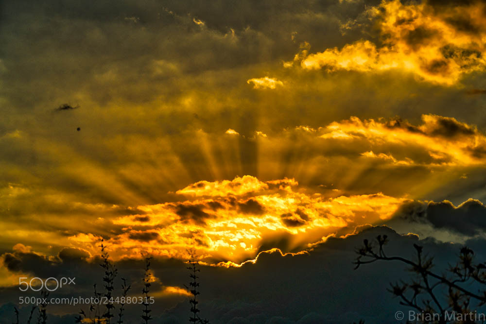 Sony a7R II sample photo. Aurorahdr hdr photography