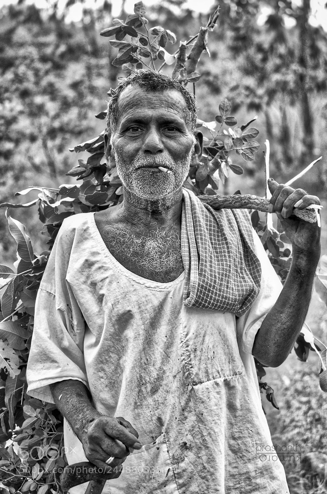 Nikon D5100 sample photo. The goatherd photography
