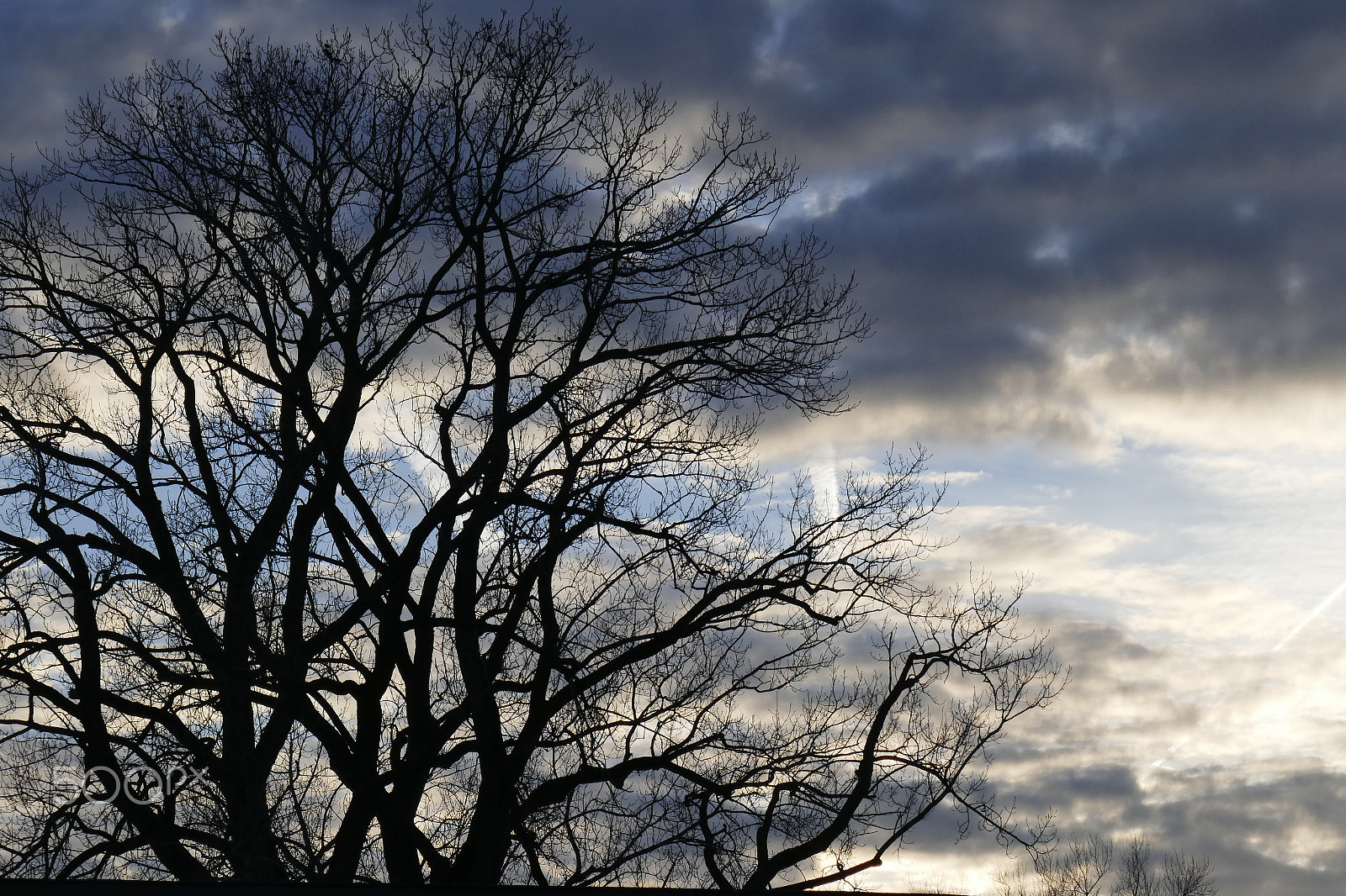 Panasonic Lumix DMC-ZS100 (Lumix DMC-TZ100) sample photo. As the sun sets photography