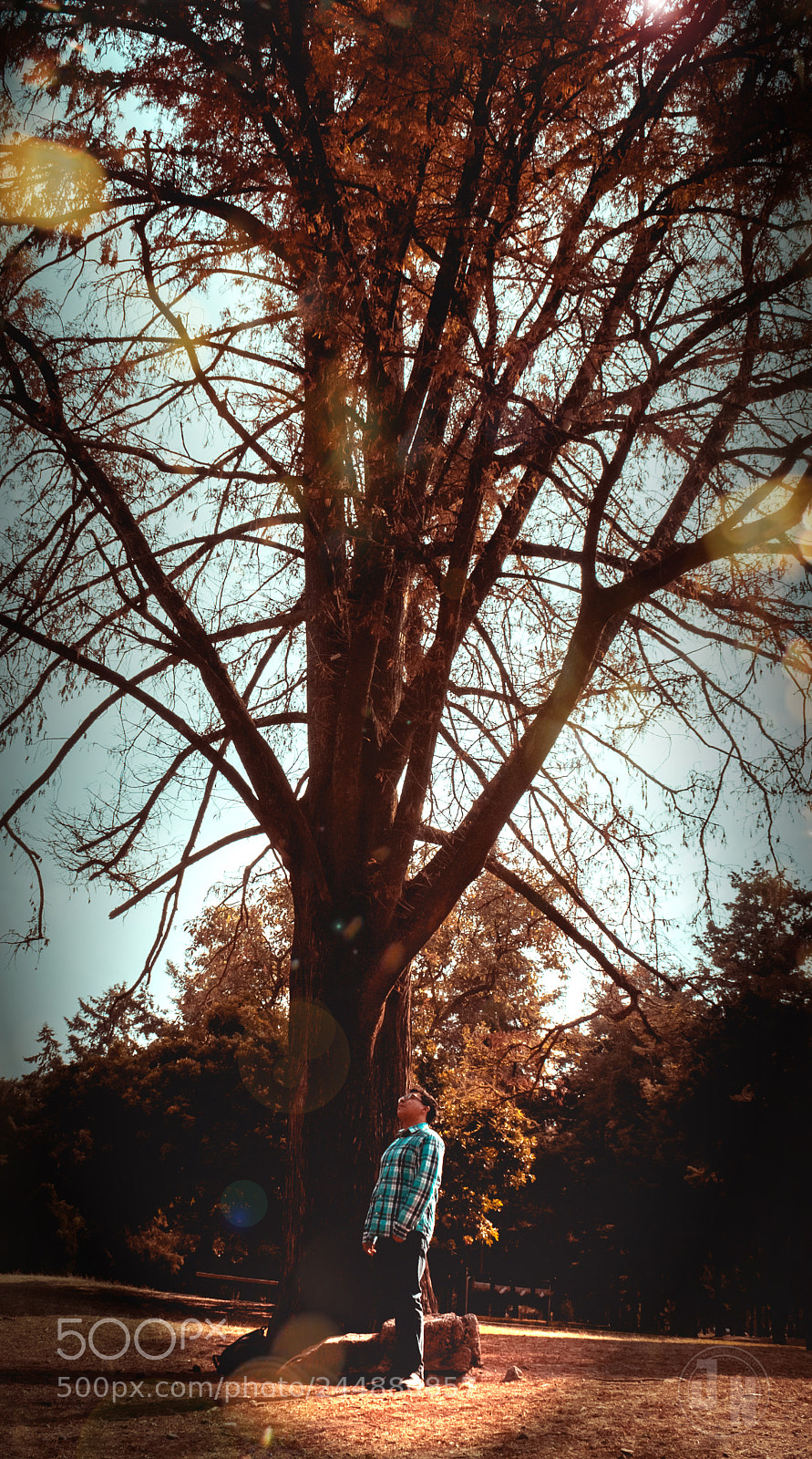 Sony Alpha DSLR-A200 sample photo. Dreams photography