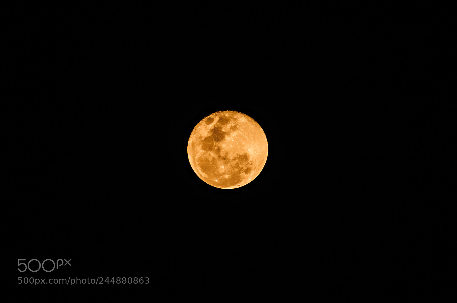 Nikon D5000 sample photo. Supermoon photography