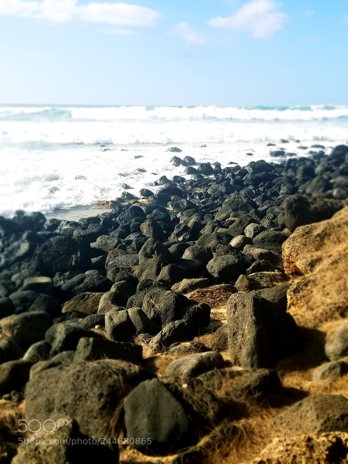 Samsung Galaxy S8+ sample photo. Untitled photography