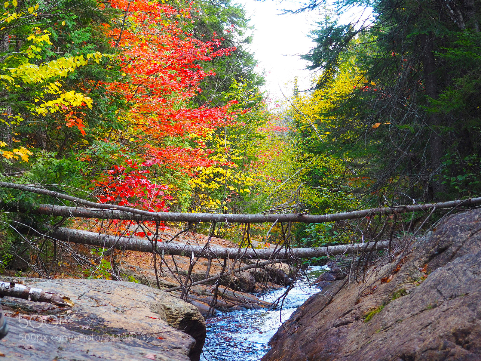 Olympus OM-D E-M10 II sample photo. Flowing stream in fall photography