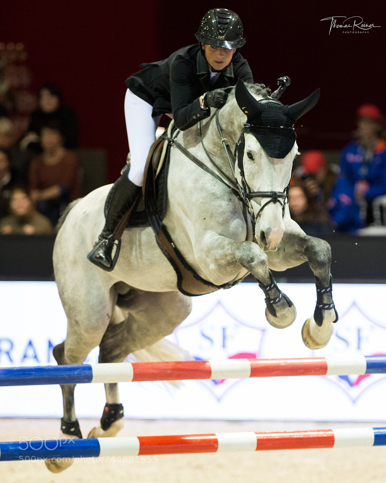 Nikon D4 sample photo. Bordeaux, france, 2.2.2018, sport photography