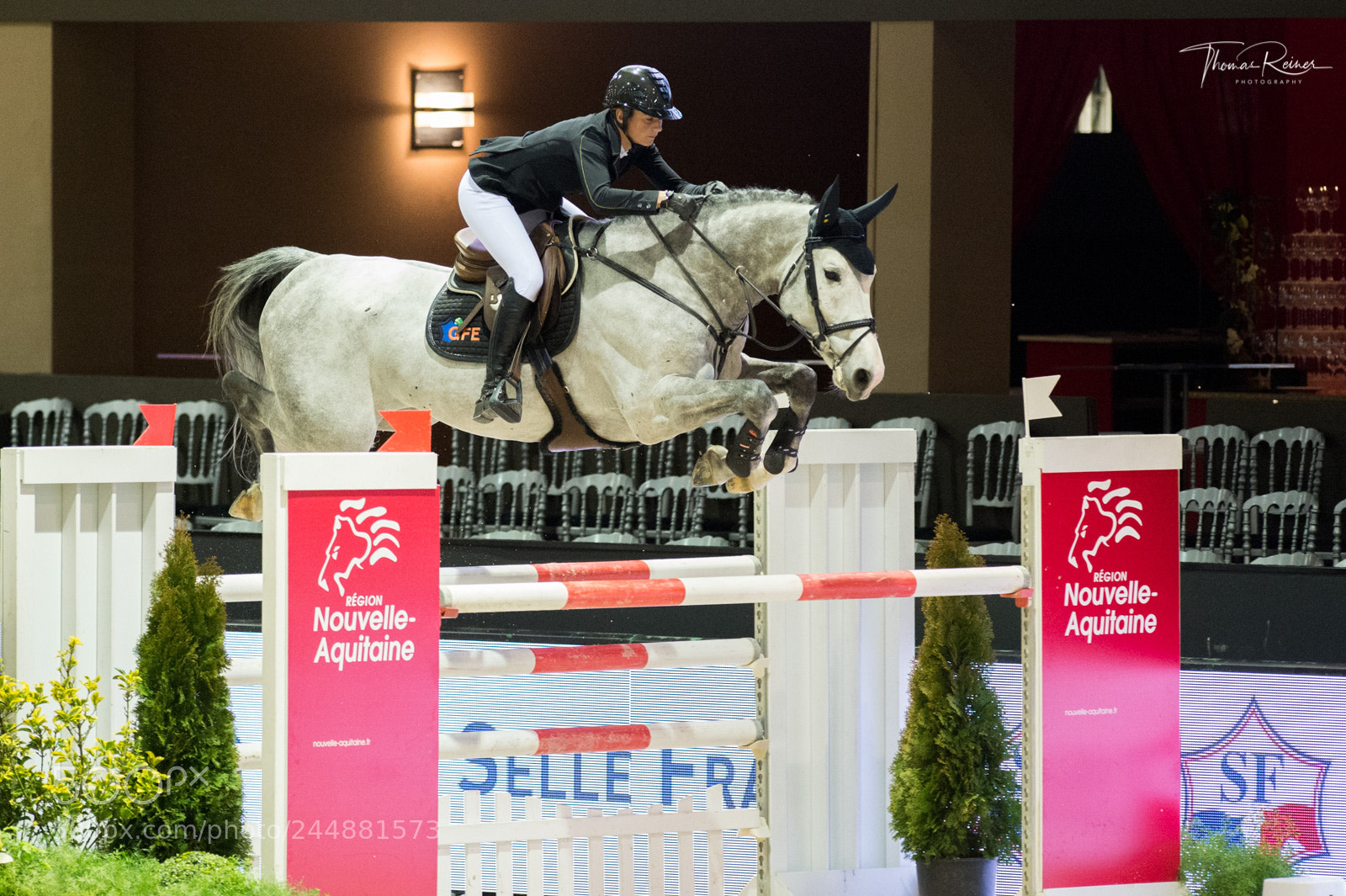Nikon D4 sample photo. Bordeaux, france, 2.2.2018, sport photography