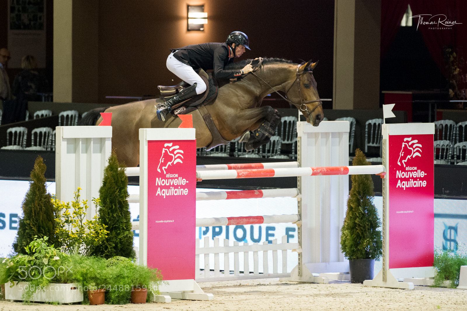 Nikon D4 sample photo. Bordeaux, france, 2.2.2018, sport photography