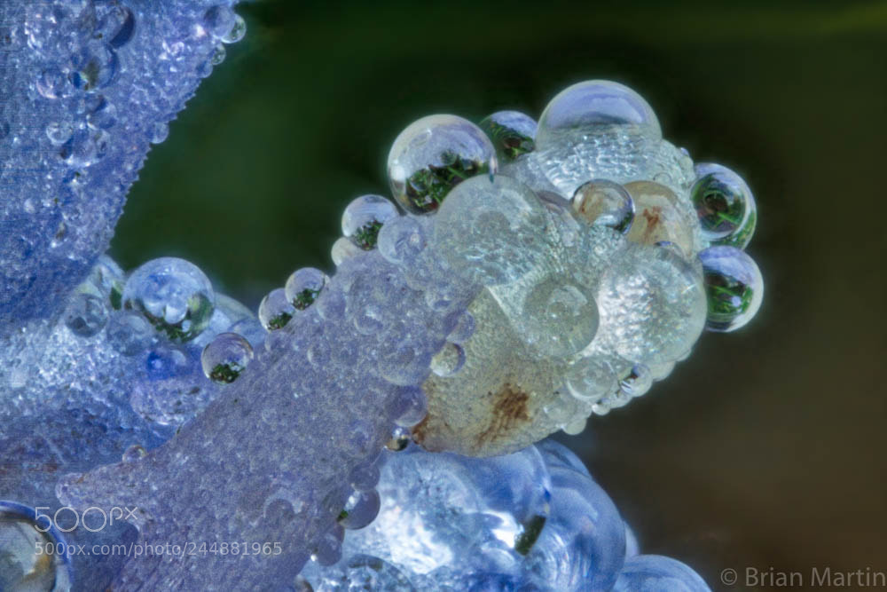 Sony a7R II sample photo. Zs pmax photography