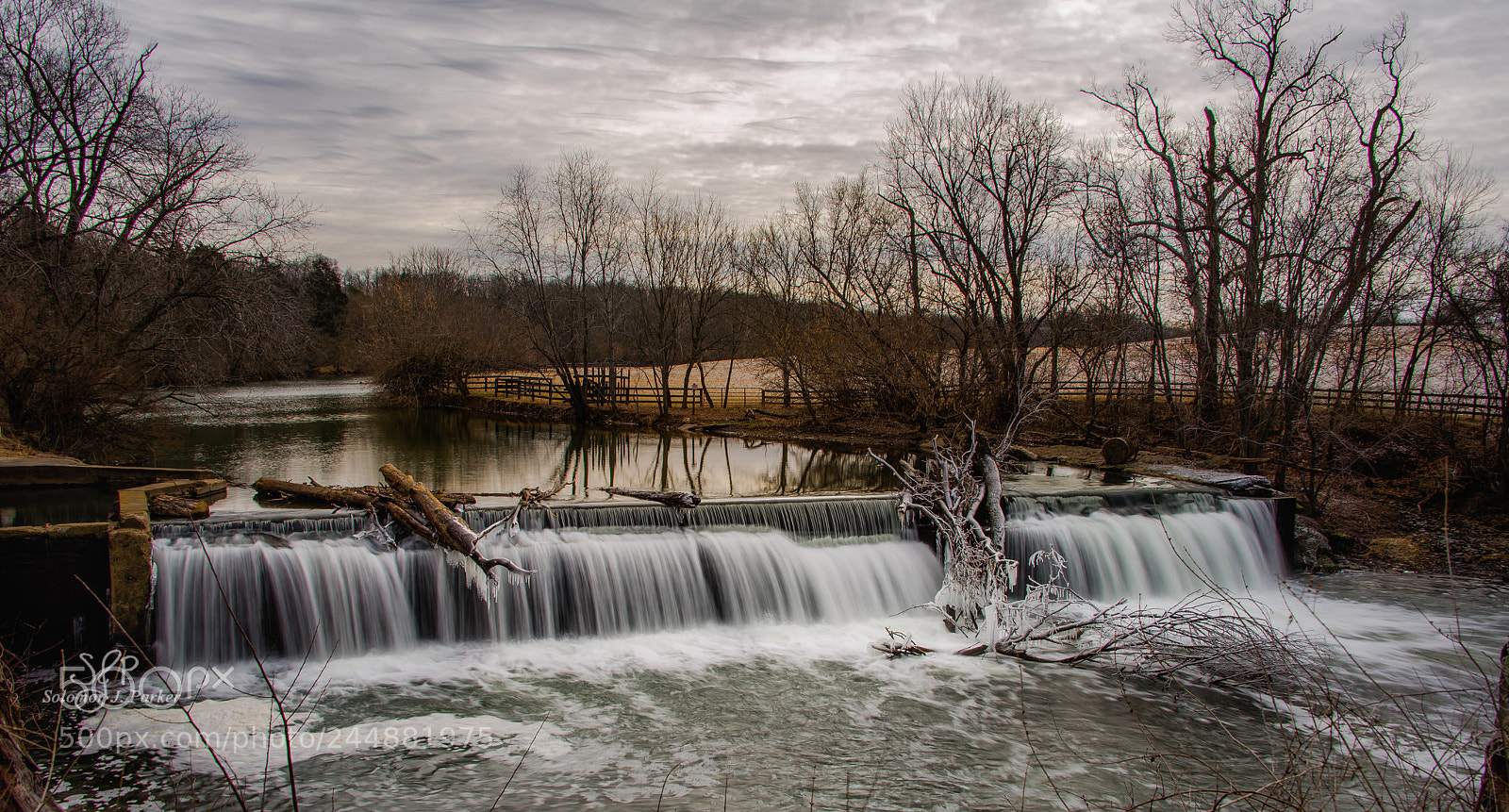 Nikon D610 sample photo. Kentucky winter morning photography