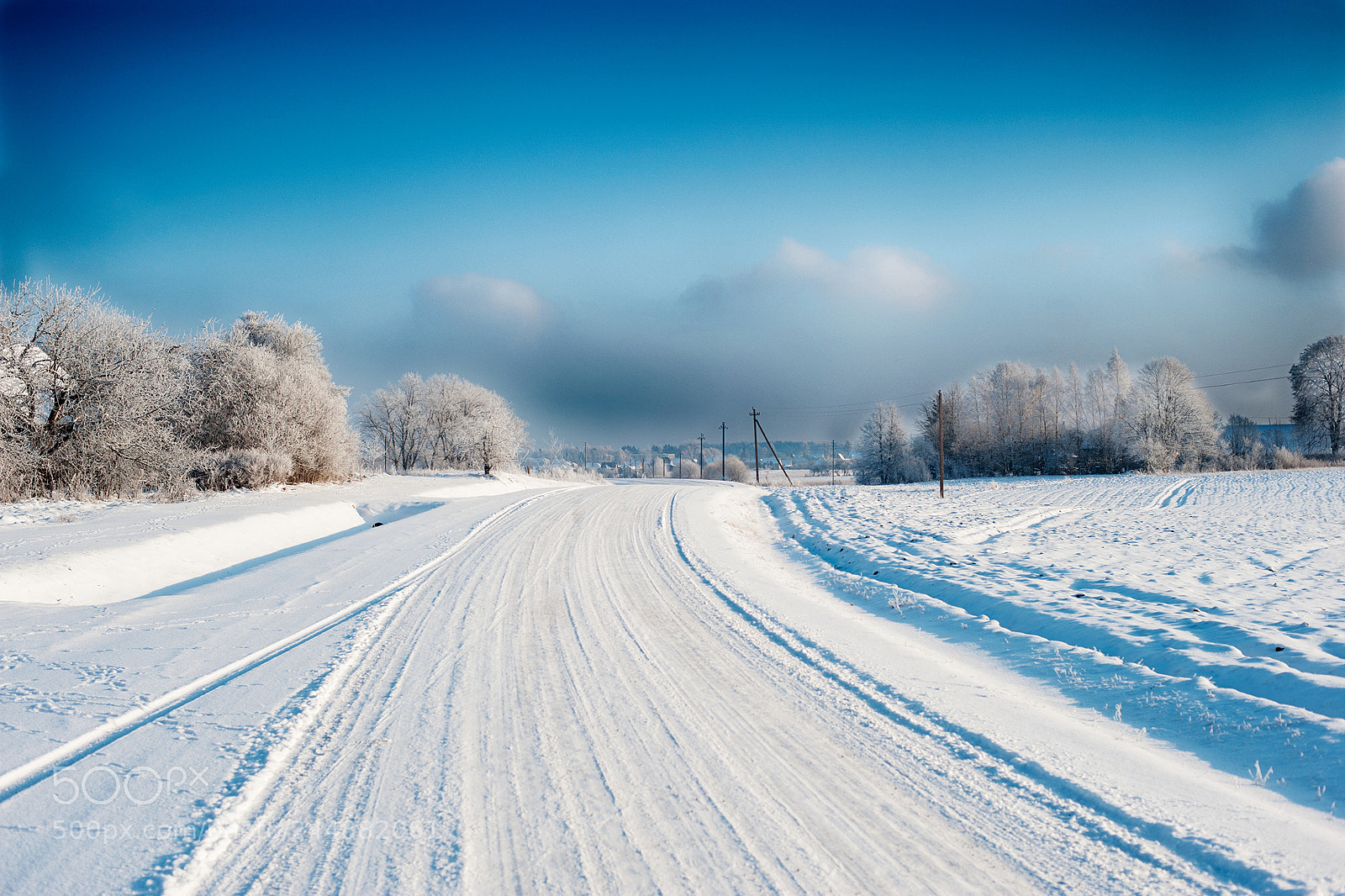 Nikon D3 sample photo. Winter photography