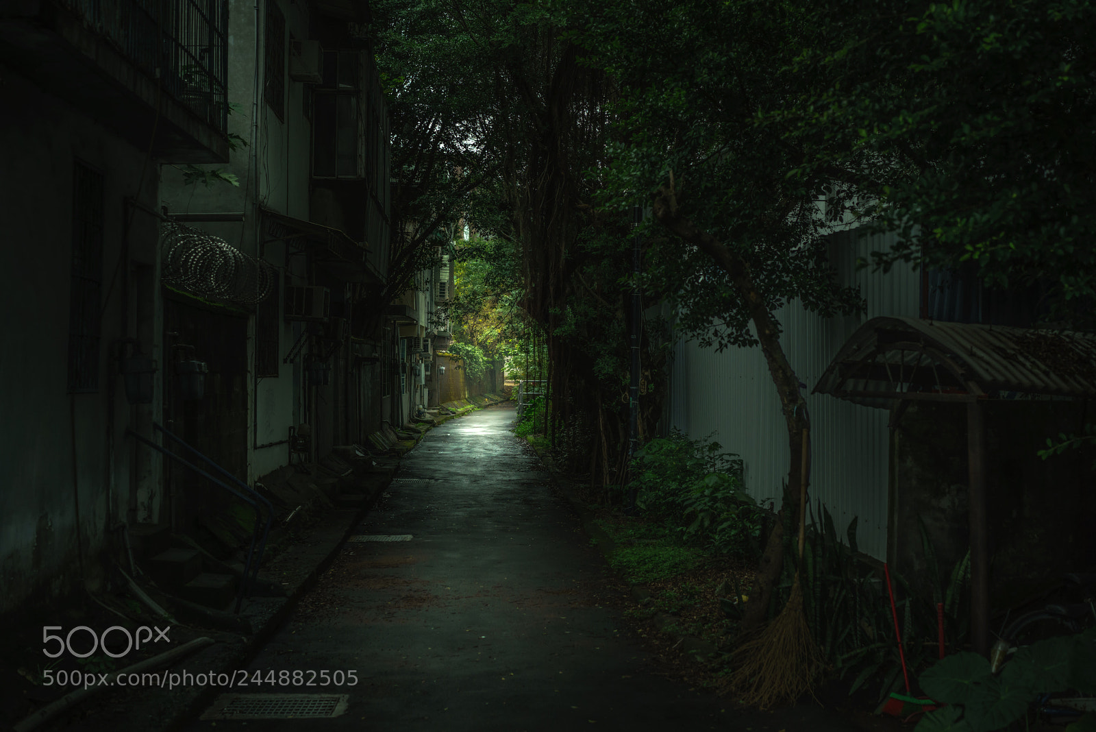 Sony a7R II sample photo. Mystery’s line photography