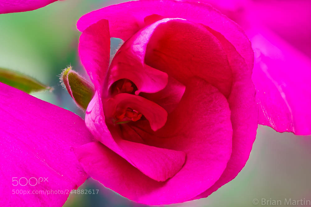 Sony a7R II sample photo. Zs pmax edit photography