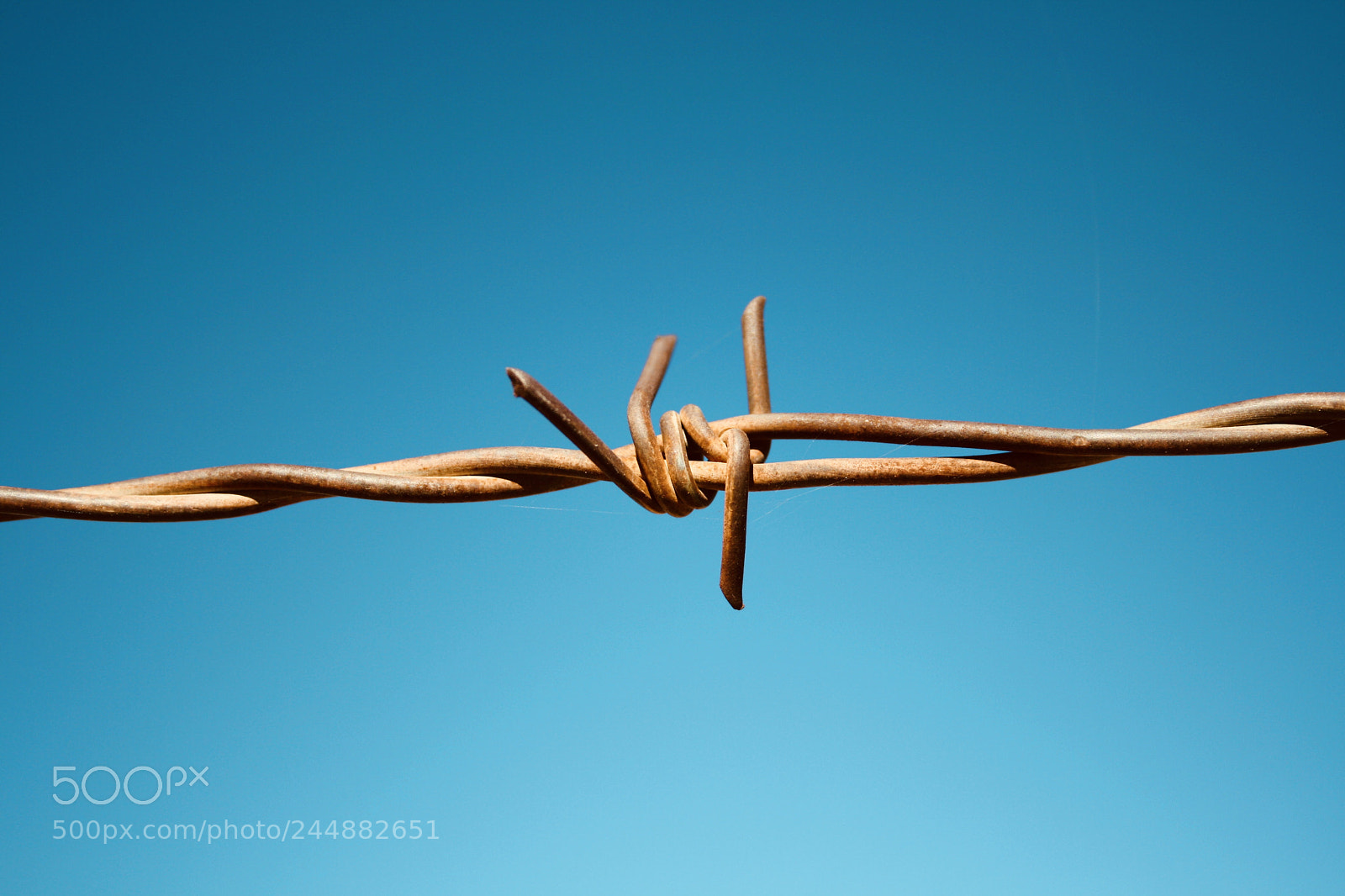 Canon EOS 1000D (EOS Digital Rebel XS / EOS Kiss F) sample photo. Us border protection photography
