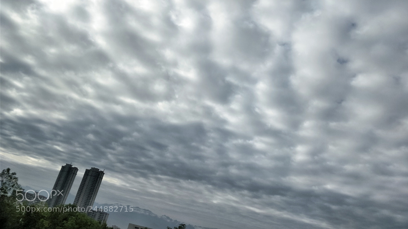 OnePlus 5 sample photo. Untitled photography