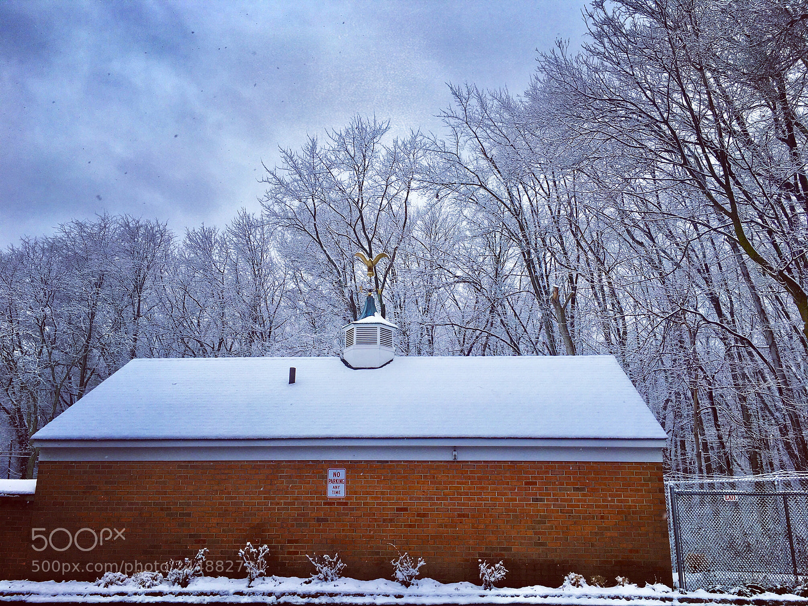 Apple iPhone 6s Plus sample photo. Snow mania? photography