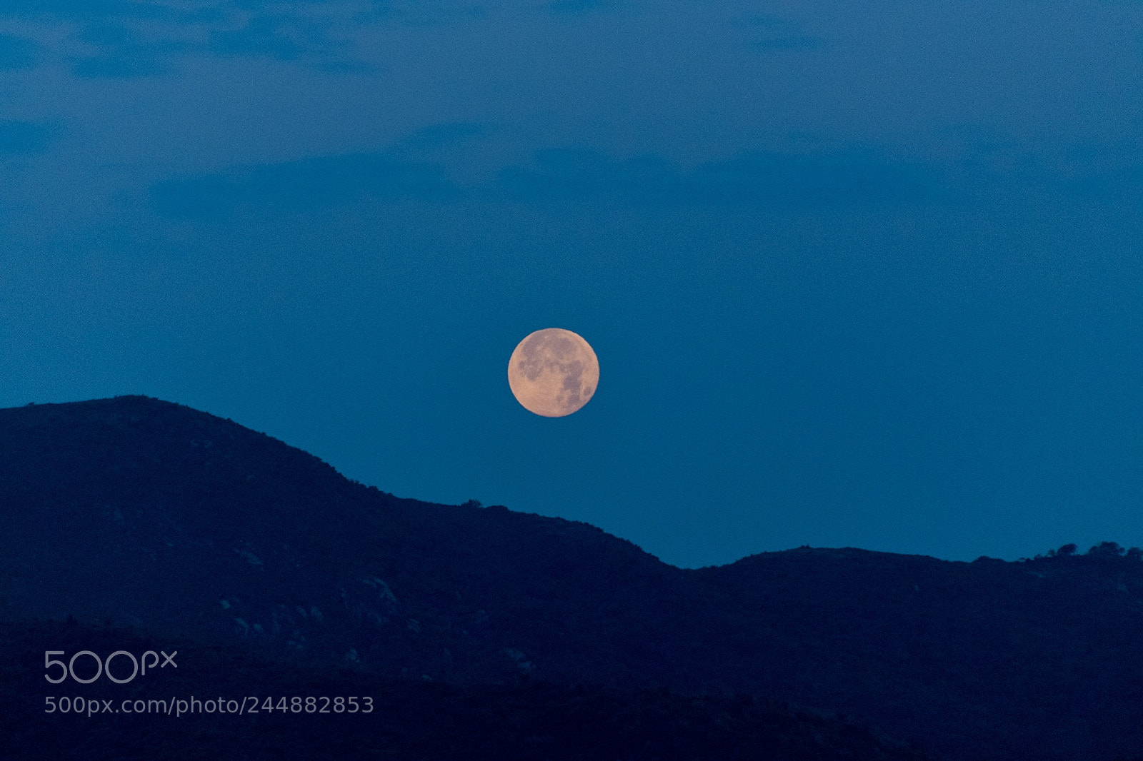 Nikon D850 sample photo. Super blue-blood moon at photography