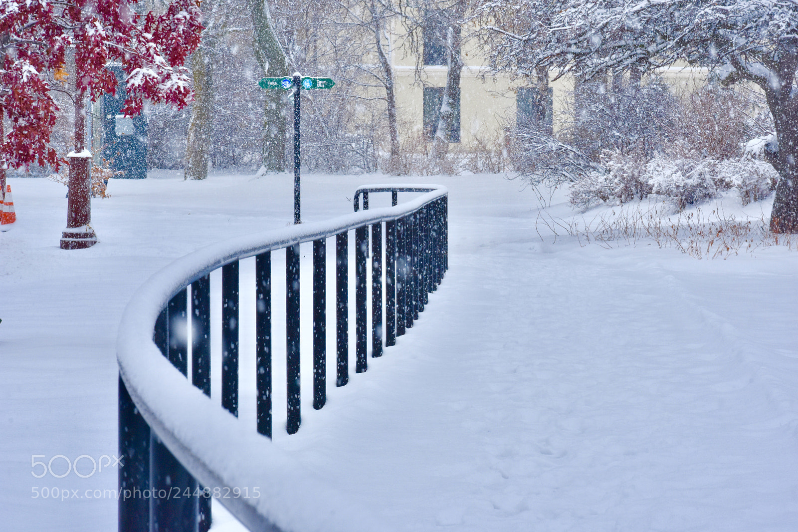 Nikon D3400 sample photo. Snow path !! photography