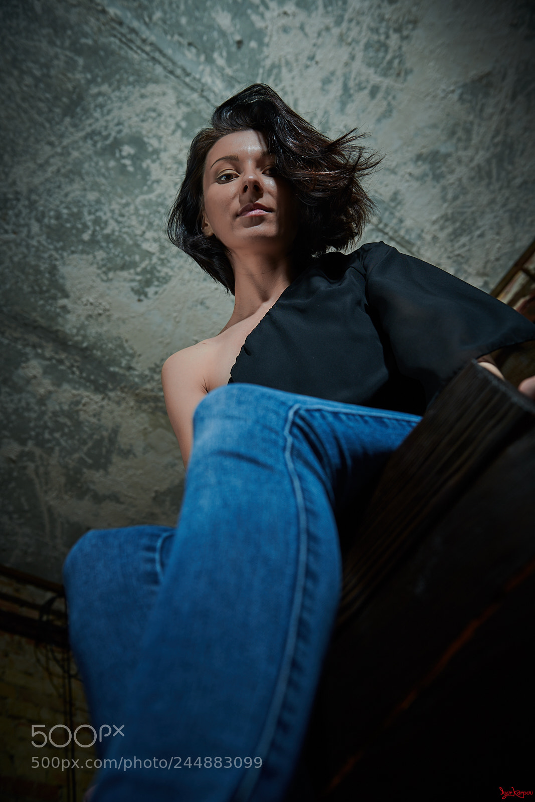 Nikon D850 sample photo. Cat's point of view photography