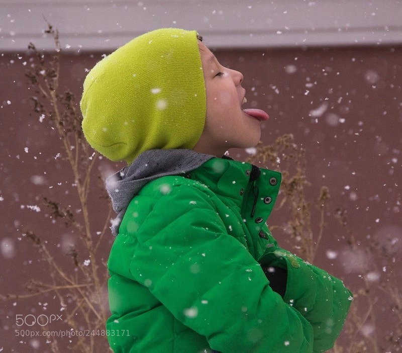 Canon EOS 60D sample photo. First snow photography