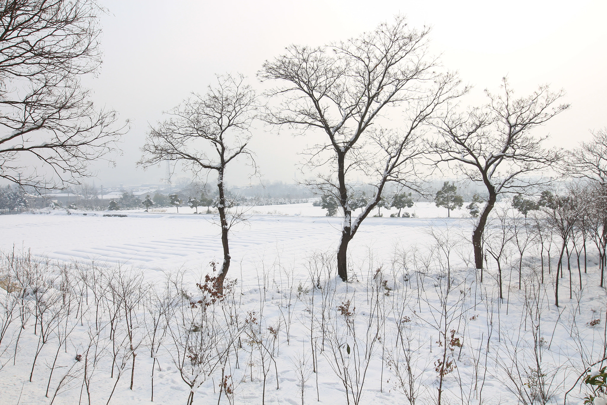 Canon EOS 700D (EOS Rebel T5i / EOS Kiss X7i) + Canon EF 16-35mm F2.8L II USM sample photo