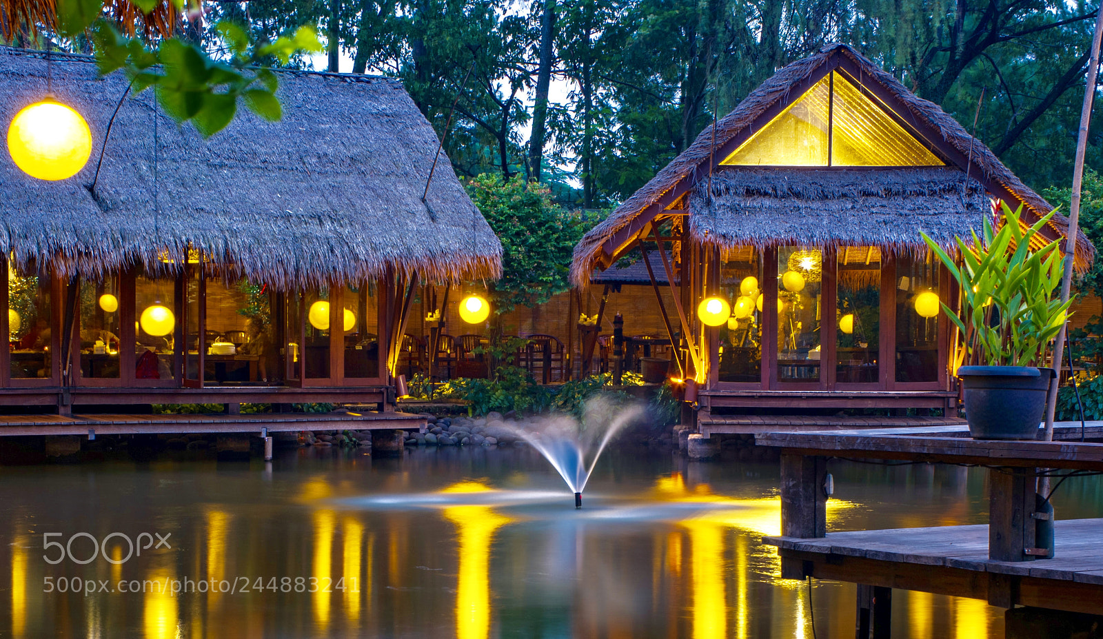 Sony a7R II sample photo. Untitled photography