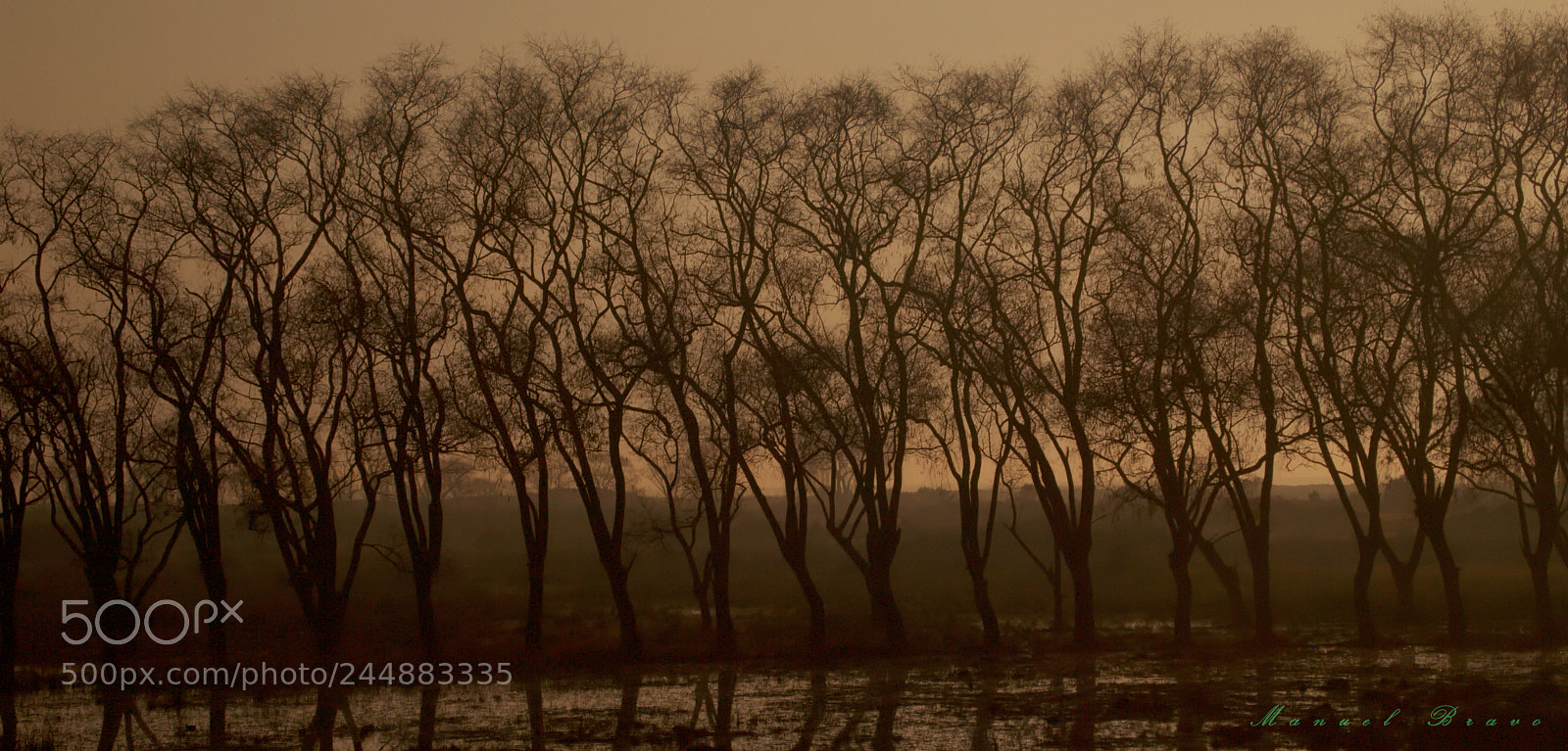 Olympus PEN E-PL1 sample photo. Worshipers v photography
