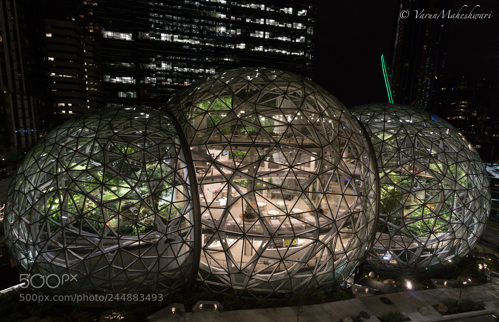 Nikon D3200 sample photo. Crystal jungle photography