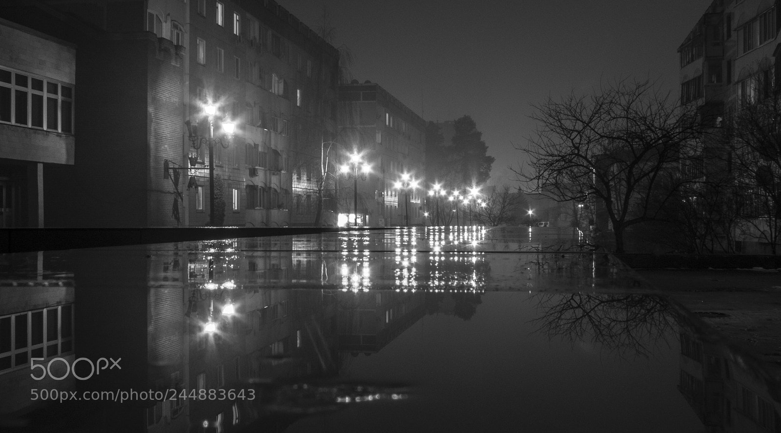 Canon PowerShot SX50 HS sample photo. Swim in the light photography