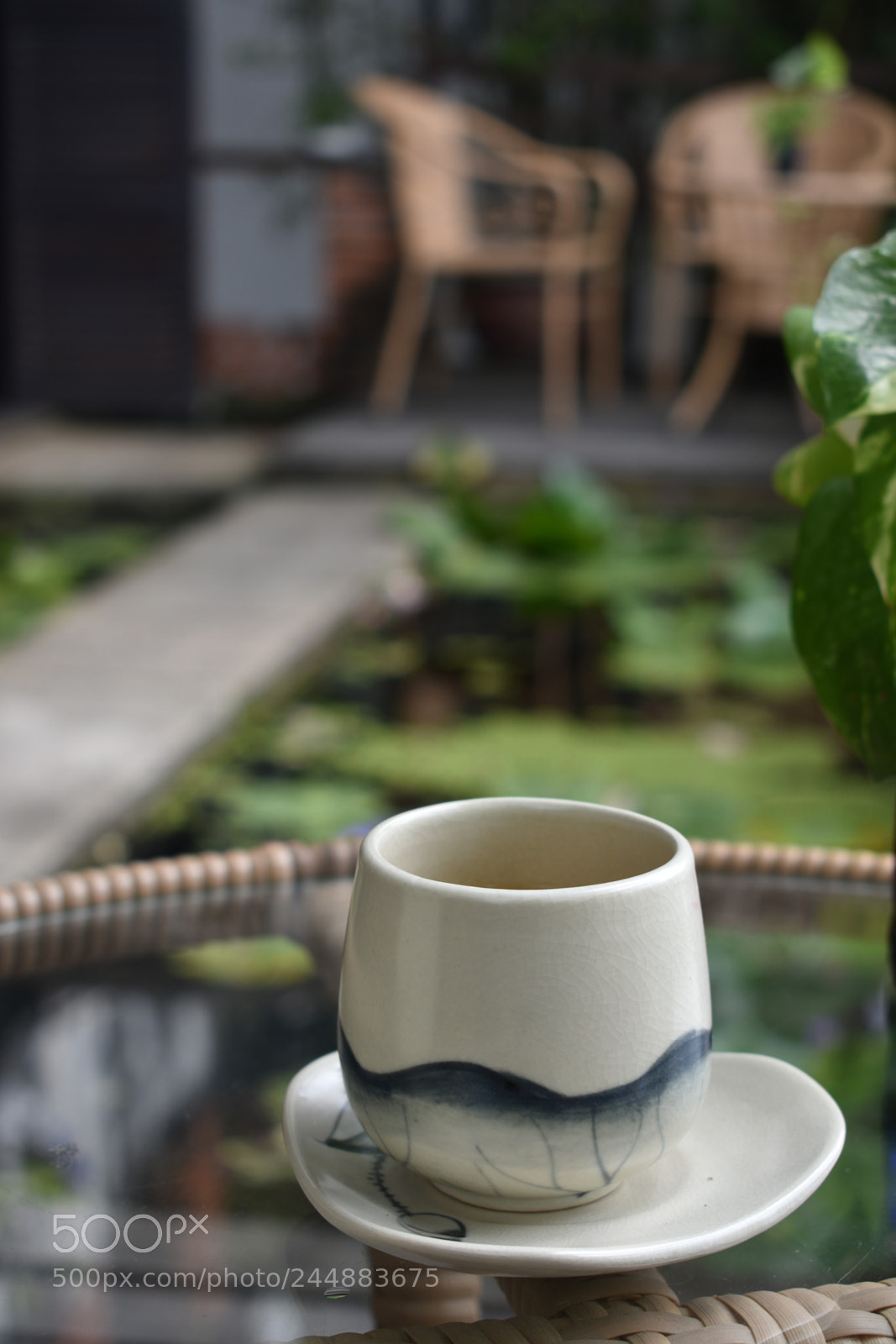 Nikon D3400 sample photo. Vietnamese green tea in photography