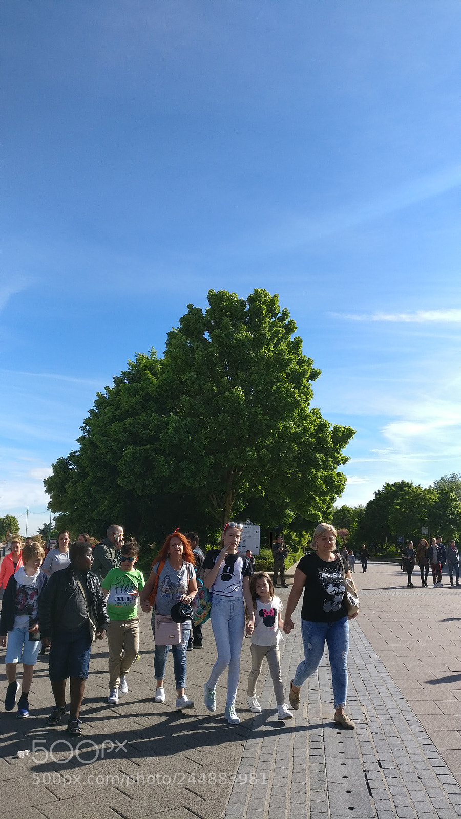 OnePlus A3003 sample photo. Disneyland paris photography