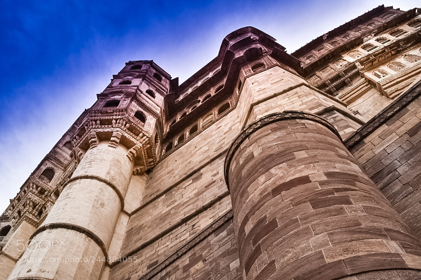 Nikon D5500 sample photo. Vertical photography
