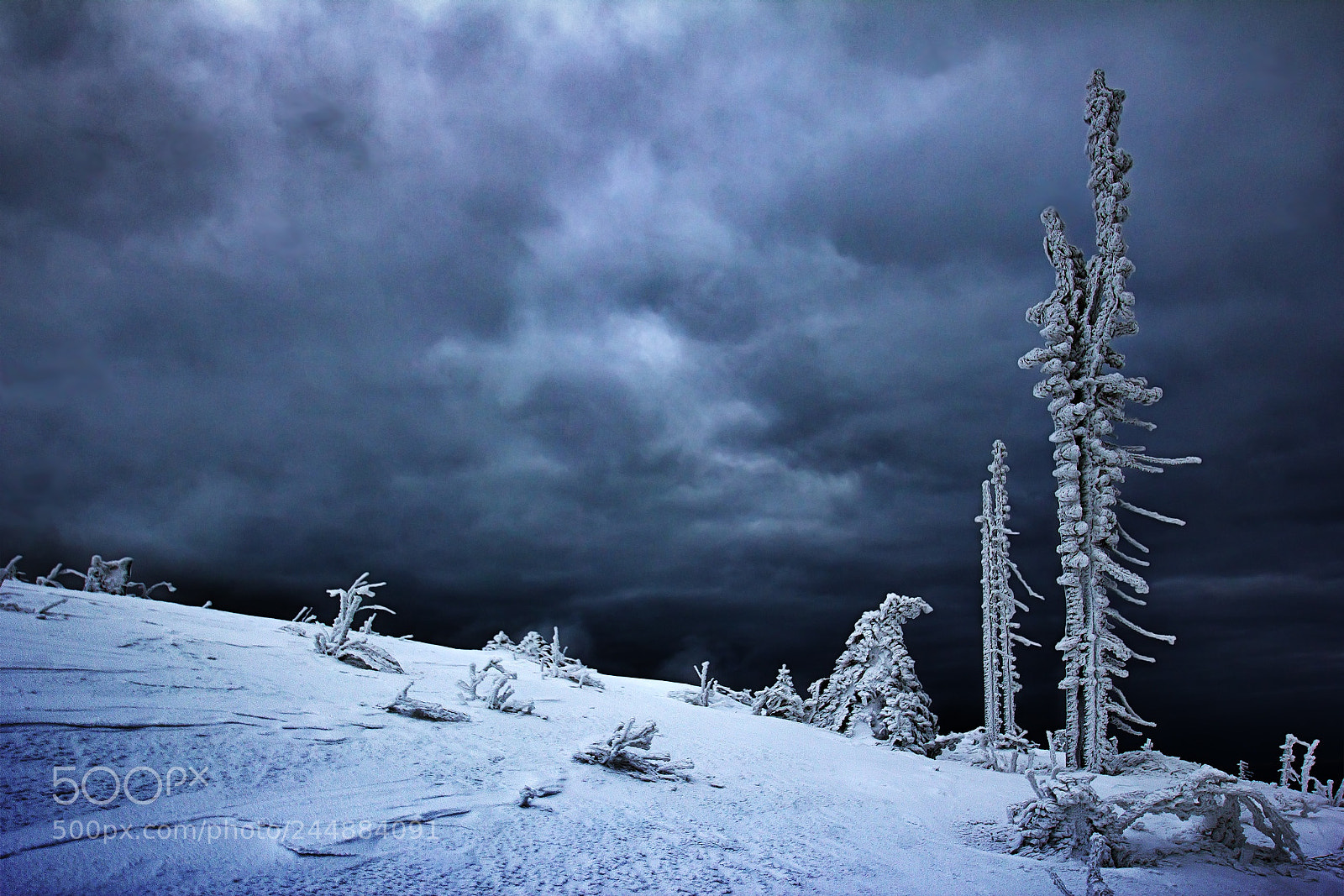 Canon EOS 60D sample photo. Frozen photography