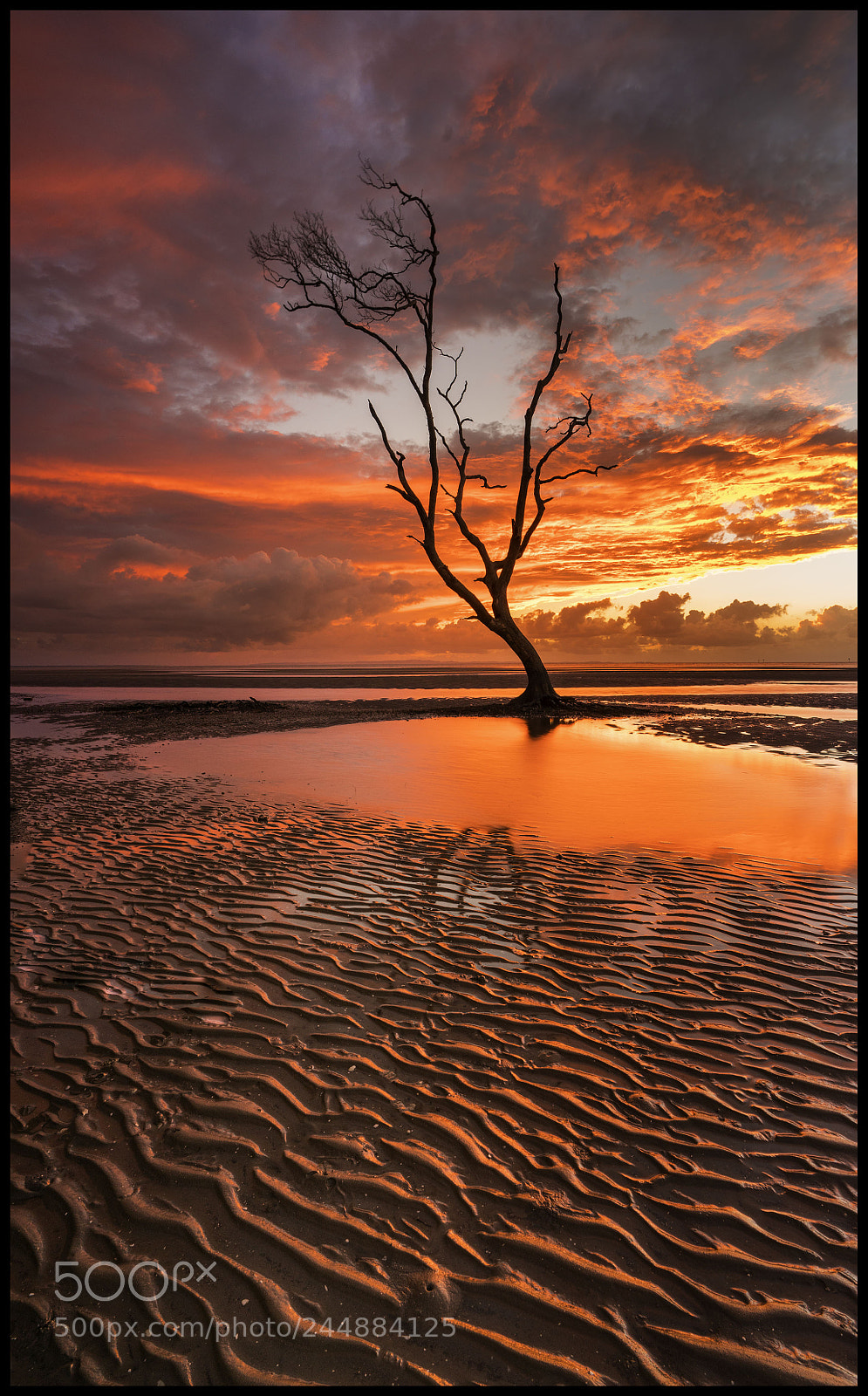 Sony a7R II sample photo. Beachmere photography