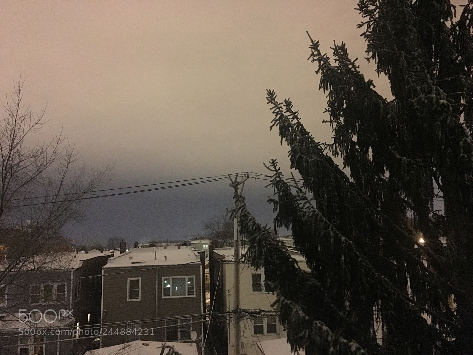 Apple iPhone 6s Plus sample photo. Winter time photography