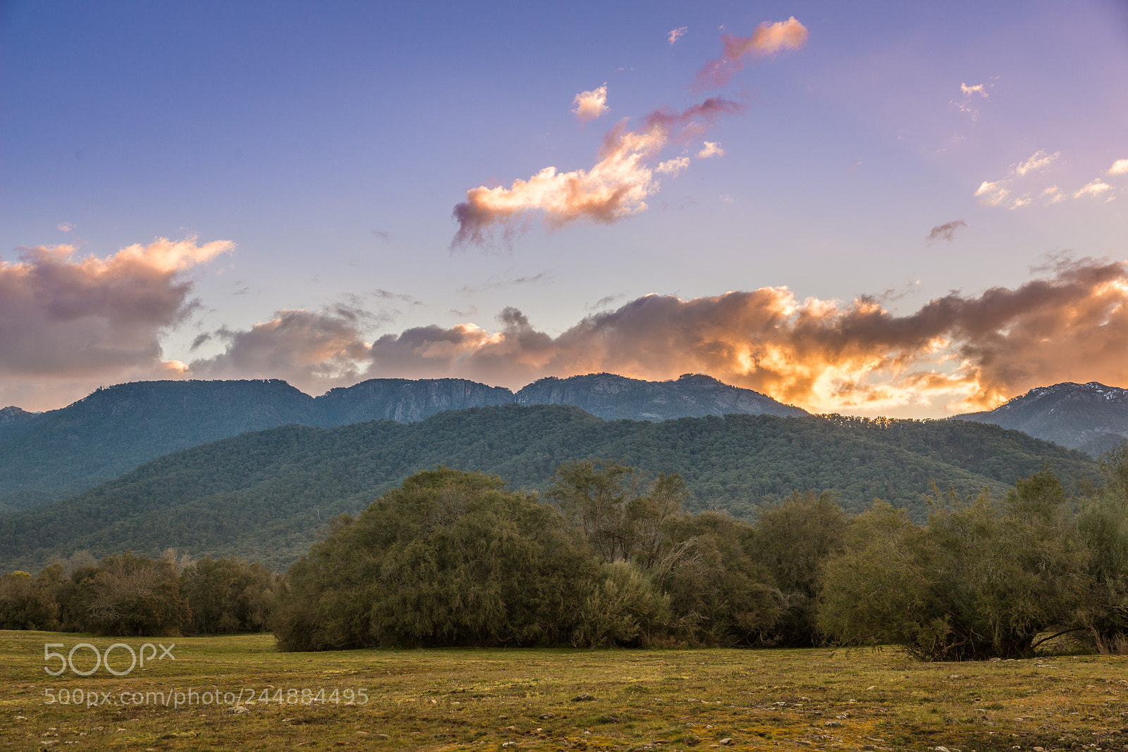 Nikon D800 sample photo. Scenic countryside rural australian photography