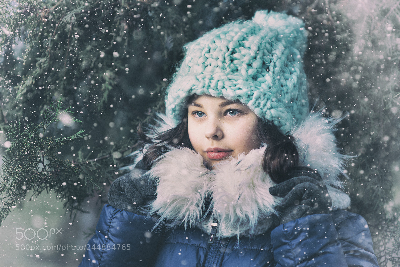Nikon D800 sample photo. Some winter day photography